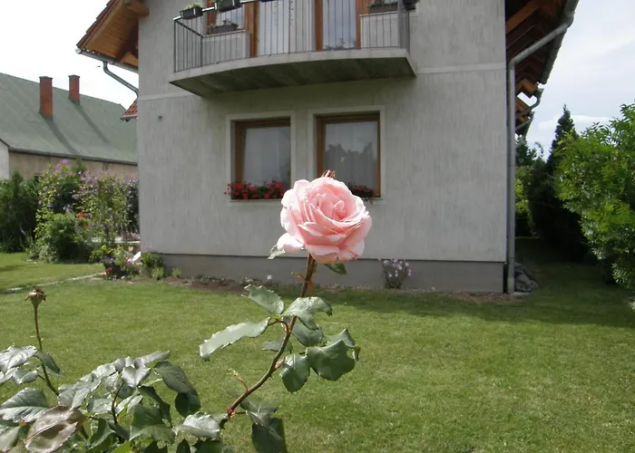 Ilona Vendeghaz בית הארחה *